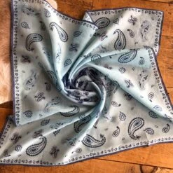 Paisley Cowboy Neck Scarf -SAVANAH Clothing sale IMG 09892