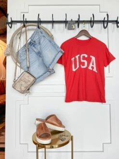 The Land Of The Free