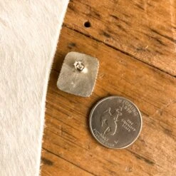 Arizona Earrings -SAVANAH Clothing sale IMG 2785