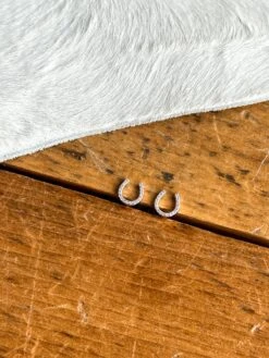 Diamond Horseshoe Earrings -SAVANAH Clothing sale IMG 3993