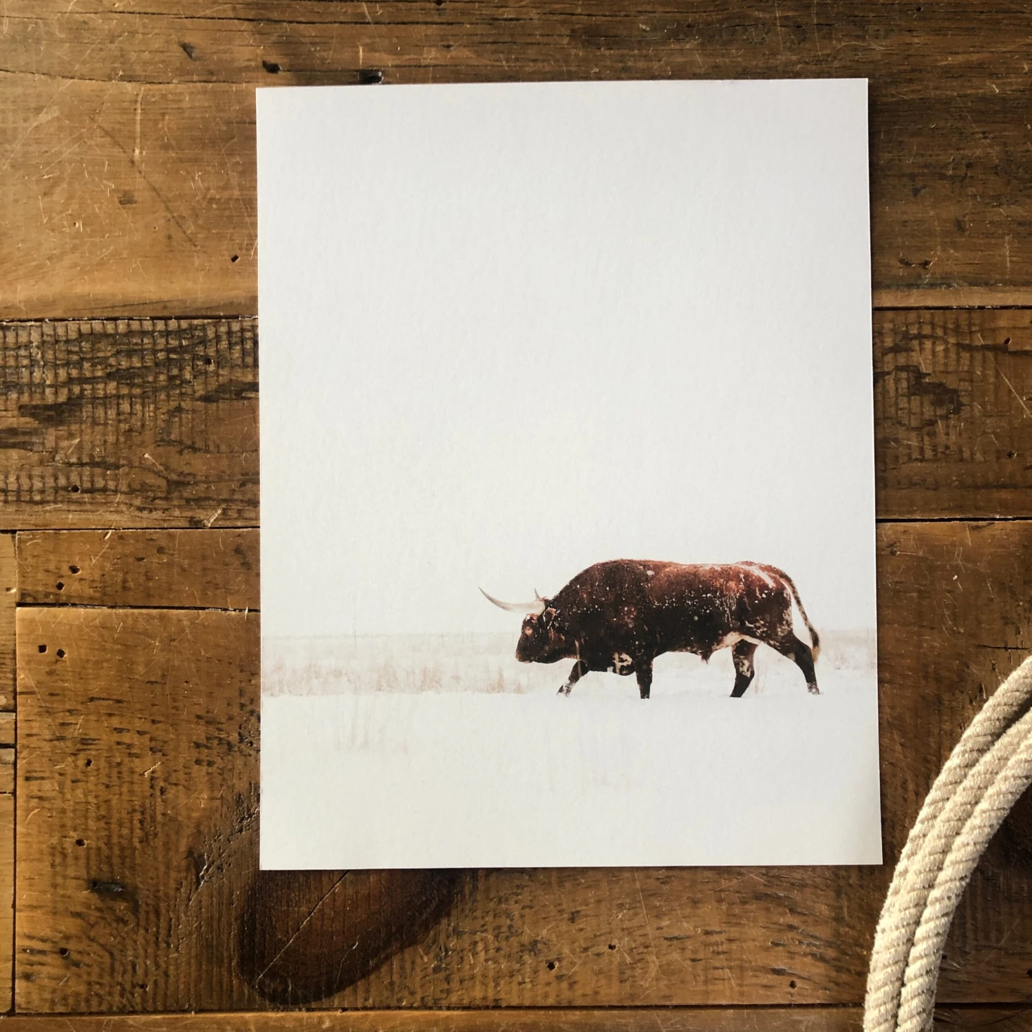 White Out Alex Callaghan Print White Out Alex Callaghan Print -SAVANAH Clothing sale IMG 4930 scaled