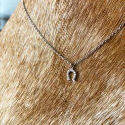 Horseshoe Necklace -SAVANAH Clothing sale IMG 5271