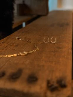 Diamond Horseshoe Earrings -SAVANAH Clothing sale IMG 8335