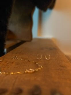 Diamond Horseshoe Earrings -SAVANAH Clothing sale IMG 8339 da1a230d e1ad 45cf b9db 8aadf4bb3879