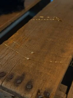 Petite Diamond Necklace {Gold} -SAVANAH Clothing sale IMG 8367