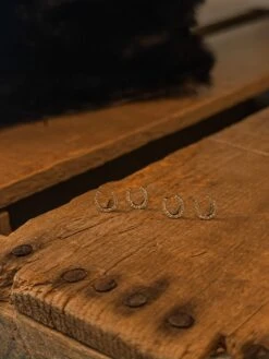 Diamond Horseshoe Earrings -SAVANAH Clothing sale IMG 8383