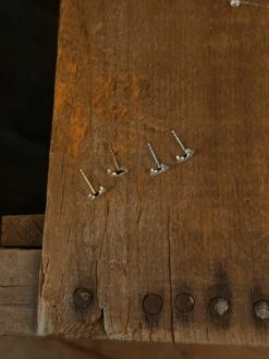 Diamond Horseshoe Earrings -SAVANAH Clothing sale IMG 8384