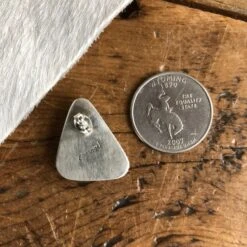 Buffalo Earrings 3 Buffalo Earrings -SAVANAH Clothing sale PhotoDec102024 125333PM3