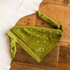 Palmyra Neck Scarf {Chartreuse}