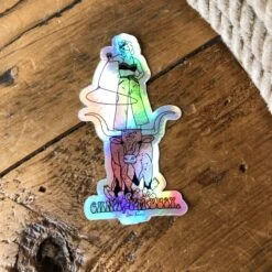 Allie Falcon Stickers -SAVANAH Clothing sale image 638bdce0 55fa 4f0d beae a310a72c57fc